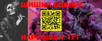 индика Кулебаки