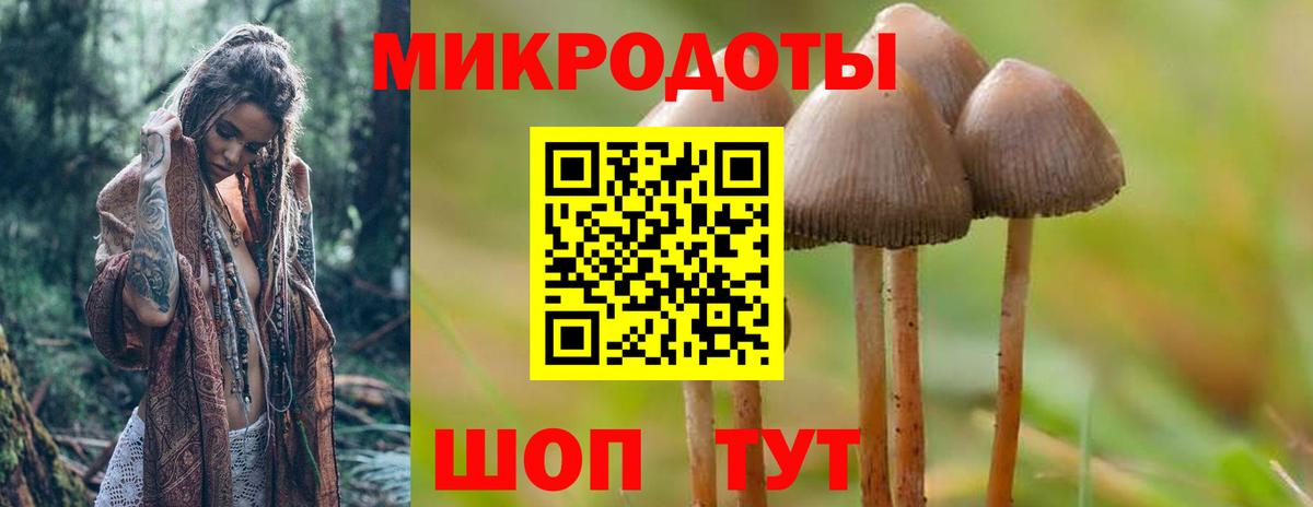 Псилоцибиновые грибы ЛСД  Вход с VPN  Долгопрудный 